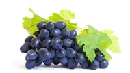 Куплю виноград