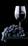 Винный виноград сорта Мерло