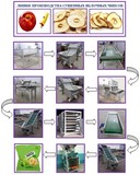 Линия изготовления, производства сушёных яблочных чипсов.