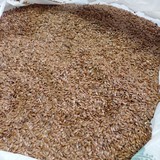 Сертифицированные семена льна (посевной материал) сорт Северный РС-1, РС-2