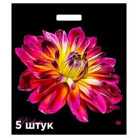 Пакет подарочный «Перфекто Герцогиня», 420х480 мм, с вырубной ручкой Циркон