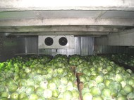 Монтаж холодильного оборудования для овощехранилищ, фруктохранилищ.