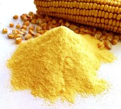 Мука из желтой кукурузы, экспорт