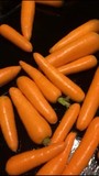 Морковь оптом урожай 2020 г. от производителя Брянская область