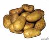 Предлагаем молодой картофель урожай 2011г