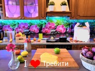 Фартук для кухни из АБС пластика. Розовая орхидея