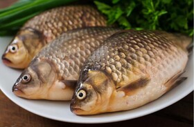 Куплю речную рыбу