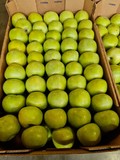 Яблоки оптом продаем в Краснодаре