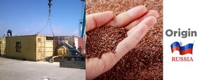 Flaxseeds CIF port of Tianjin China