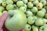 Яблоки фасованные cорта: Голден, Семеренко оптом со склада