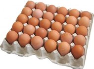 Яйцо куриное оптом от птицефабрики