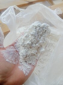 Wheat flour CIF Cotonu Benin