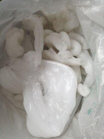 Купим литник ПП, ПНД, ПВД