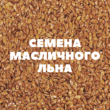 Семена масличного льна