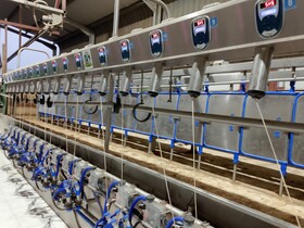 Доильный зал Параллель для овец Sylco 2*20 с быстрым выходом