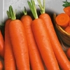 Морковь оптом от производителя Крыма