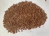 Flax seeds to Poland