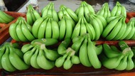Банан зеленый оптом
