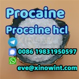 CAS 59-46-1 Procaine hcl Procaine Hydrochloride CAS:51-05-8