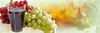 Концентрированный сок белого винограда 65 % оптом  