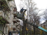 Удаление, обрезка деревьев, работаем по Москве и области