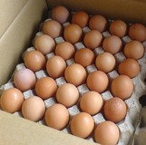 Яйца куриные столовые оптом и мелким оптом