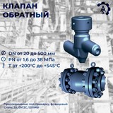 Клапан обратный 720-20-0А-01 (DN 20, PN 250)