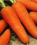 Морковь красная высшего сорта